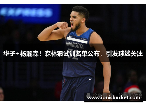 华子+杨瀚森！森林狼试训名单公布，引发球迷关注
