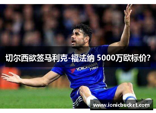 切尔西欲签马利克-福法纳 5000万欧标价？
